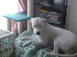DSC00163.JPG
