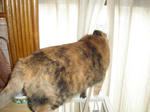 DSC00166.JPG