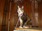 DSC00188.JPG