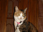 DSC00187.JPG