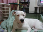 DSC00248.JPG