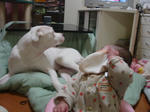 DSC00252.JPG
