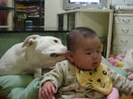 DSC00254.JPG