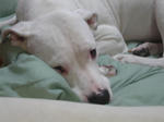 DSC00221.JPG