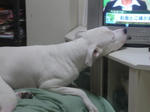 DSC00277.JPG