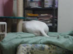 DSC00288.JPG