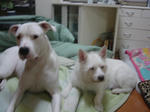 DSC00320.JPG