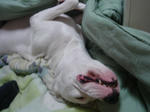 DSC00299.JPG