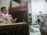 DSC00387.JPG