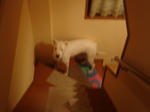 DSC00355.JPG