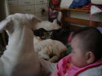 DSC00473.JPG