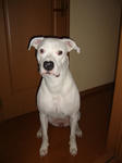 DSC03275.JPG