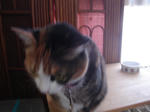 DSC00620.JPG