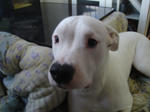 DSC00621.JPG