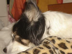 DSC00627.JPG