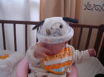 DSC00637.JPG