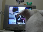 DSC00788.JPG