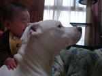 DSC00798.JPG