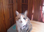 DSC00808.JPG