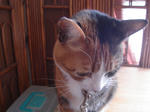 DSC00809.JPG