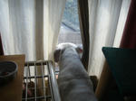 DSC00807.JPG