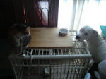 DSC00810.JPG
