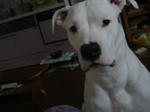 DSC00852.JPG