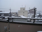 DSC00948.JPG