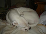 DSC00965.JPG