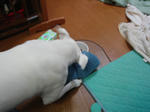 DSC01004.JPG