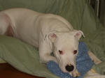 DSC01012.JPG