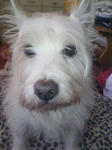 PAP_1716.JPG