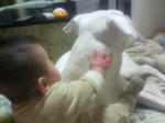 PAP_1702.JPG