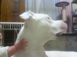 PAP_1704.JPG