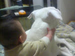 PAP_1705.JPG