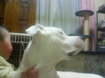 PAP_1703.JPG