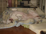 DSC00974.JPG