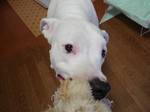 DSC01077.JPG