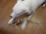 DSC01086.JPG