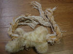 DSC01088.JPG