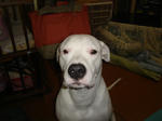 DSC01152.JPG