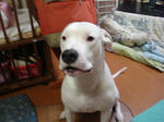 DSC01153.JPG