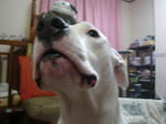 DSC01155.JPG