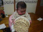 DSC01179.JPG