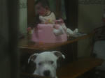 DSC01224.JPG