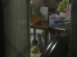 DSC01220.JPG
