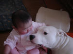 DSC01240.JPG