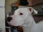 DSC01288.JPG