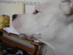 DSC01289.JPG