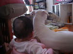 DSC01263.JPG